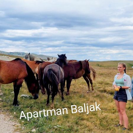 Apartman Baljak Livno Dış mekan fotoğraf