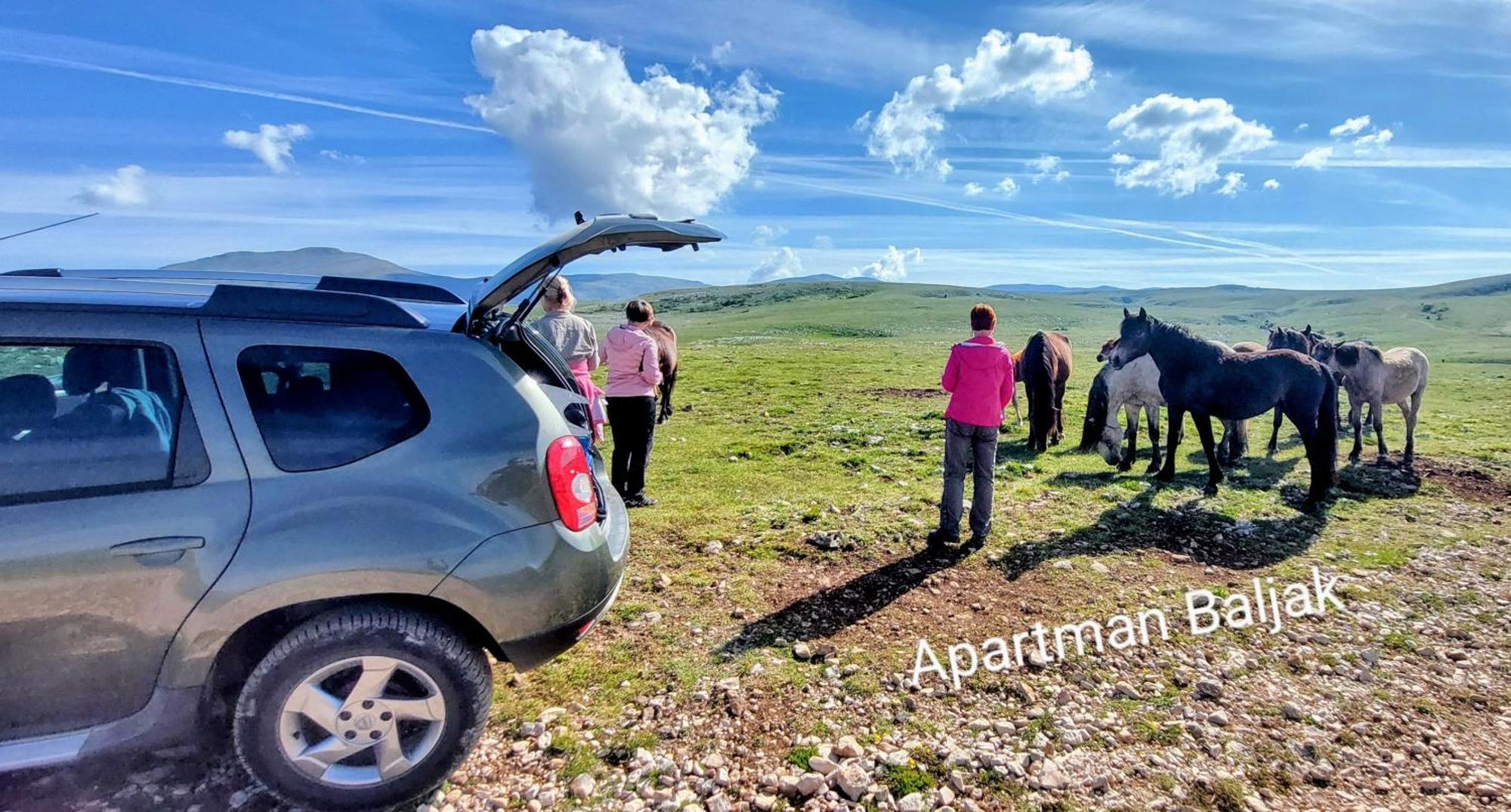 Apartman Baljak Livno Dış mekan fotoğraf