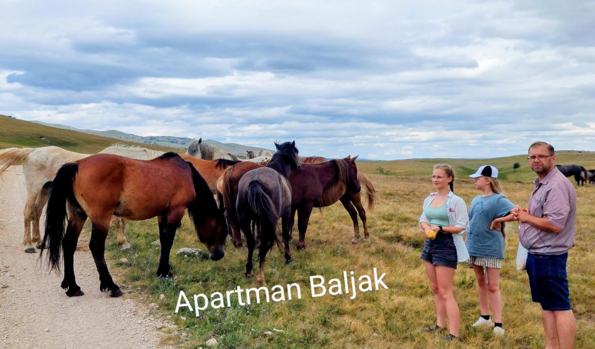 Apartman Baljak Livno Dış mekan fotoğraf